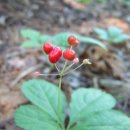 우인농장 이미지