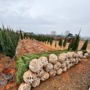 모량농장 이미지