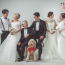 더홍스튜디오 네이버블로그