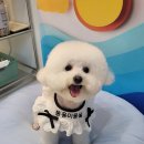 짱아미용실 이미지