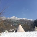 산으로간니모 이미지