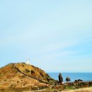 노랑제주 이미지