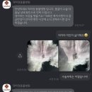 정 동물병원 이미지