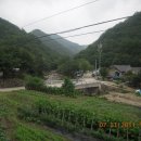 도둑골야영장 이미지