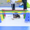 명품홍익태권도장 이미지