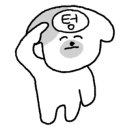 벨리댄스(취미) 네이버블로그