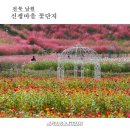 꽃단지 이미지