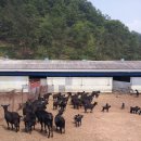 칠량농장 이미지