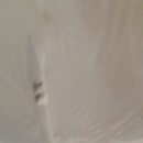 군자초교 이미지