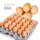 채담이네 이미지