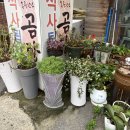 홍주천년한우곰탕 이미지