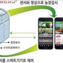 스마트폰&인터넷기초(수) 이미지