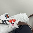 용인대학교강력유도관 이미지