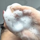 허브메디한약유통 | 탈모샴푸 상쾌하게 탈모케어쿤달 말차 앤 시카 탈모샴푸 허브민트 후기