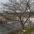 증도~용정 이미지