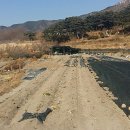 능성동농장 이미지