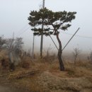 오량가옥