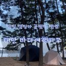 태안 :: 바다여행파크 :: 바다뷰 숲뷰 동시에 즐길수 있는 태안 캠핑장⛺️⛺️🏕️🏕️