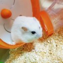 나주종합동물병원 이미지