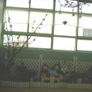 염포초교 병설유치원 이미지