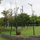 국채보상운동기념공원 이미지