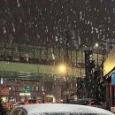 실시간 미쳐버린 수원 날씨 이미지