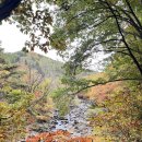 에스에이치발전소 | 무주로 떠나는 오감체험 아트여행 자연과 함께하는 힐링여행.