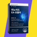 에이스포뮬러