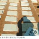 선조장묘