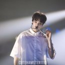 도현