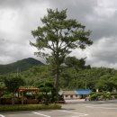 계곡면사무소 이미지