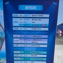 보령도시락 | [보령머드축제 2025 후기] 대천해수욕장에서 즐긴 여름 핫플! 머드축제 꿀팁 총정리