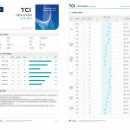 TCI 기질검사 온라인 비용과 해석 방법 무료와 유료 차이 비교