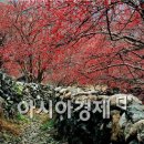 반곡축산 이미지