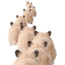 이백정참숯구이