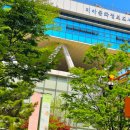 미아문화정보도서관 네이버블로그