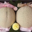 과일상회
