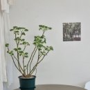 공방스테이 이미지