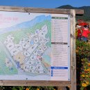 철원-꽃축제, DMZ, 제2땅굴, 평화전망대 이미지