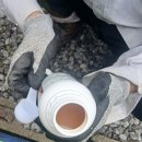 그린개발 | 보란패치그린 & 상추씨앗 고추탄저병 걱정 줄여준 병해관리용유기농자재 보란패치그린 사용후기!