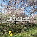 쿨호프 이미지