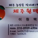 마소물로 이미지