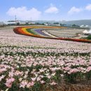 장항 성주산(왕제산) 탐방로 | 전국 길(둘레길) 관광정보 현황(충청남도)