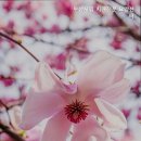 상주시립요양병원 | 믿을 수 있는 사상구 요양원 부산시립 치매전문 요양센터 부산의 믿음직한 선택