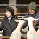 영기목장 이미지