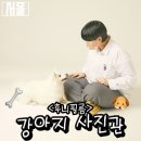 후니필름 이미지