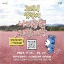 양주 나리공원 핑크뮬리&천일홍 축제(1) 이미지