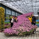충남 아산 세계 꽃 식물원 이미지