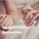 디클로젯 | 아쿠아 디 파르마 오스만투스 향수 분석