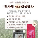 백차